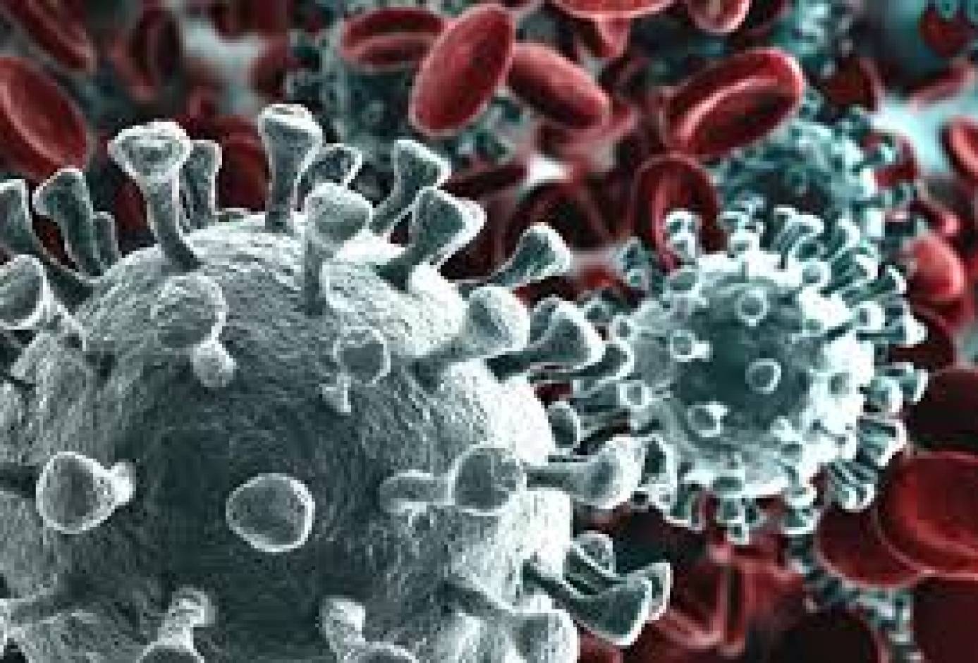 Giornata mondiale HIV: in Italia da due anni in aumento l’incidenza dei casi di infezione